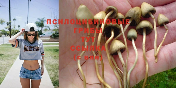 ALPHA PVP Нефтегорск