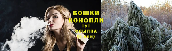 сатива Наволоки