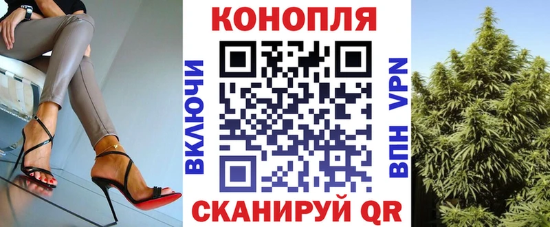Конопля план  Калач 